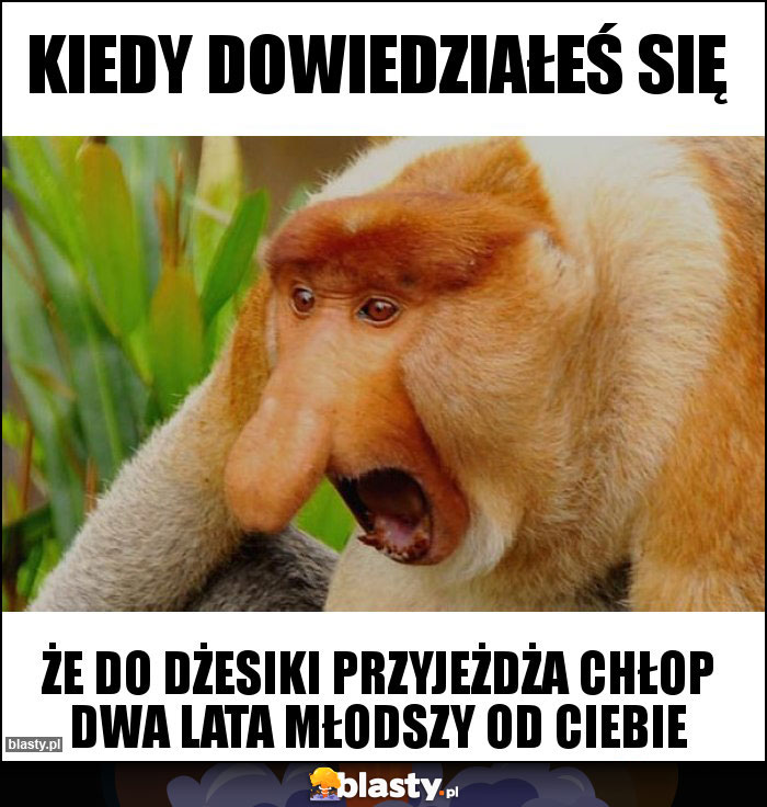 Kiedy dowiedziałeś się