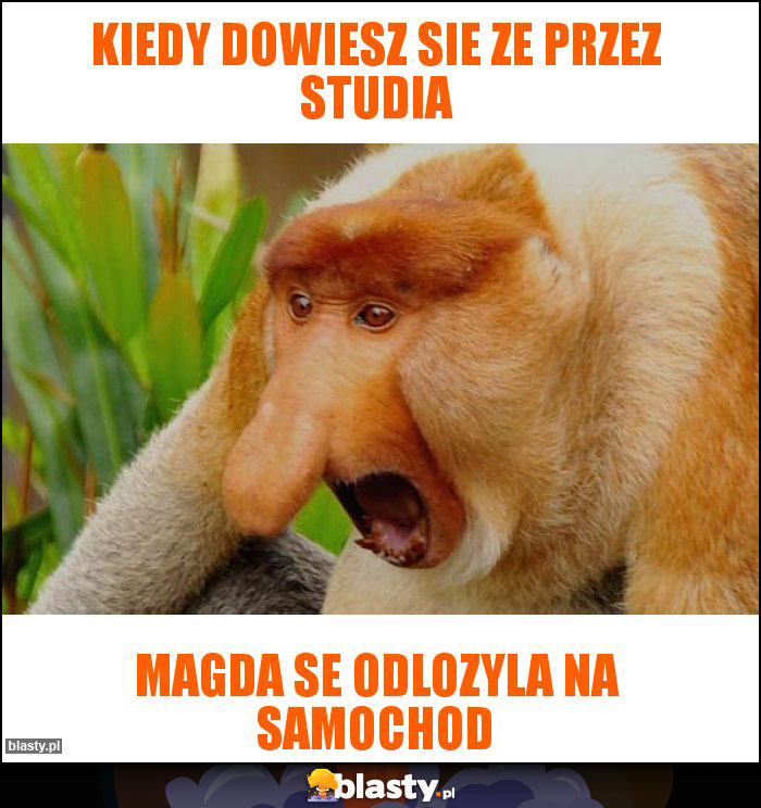 kiedy dowiesz sie ze przez studia kiedy dowiesz sie ze przez studia