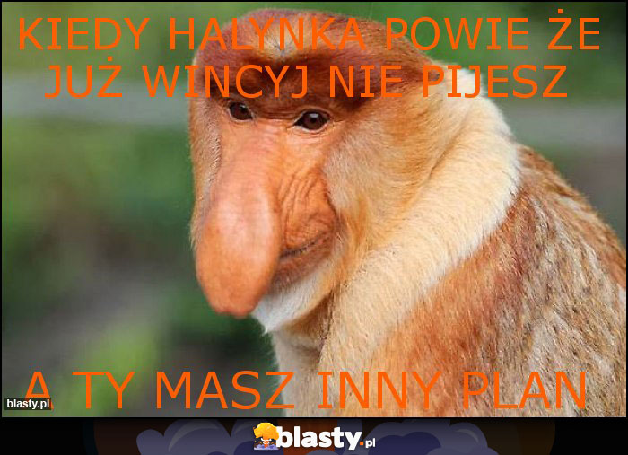 kiedy halynka powie że już wincyj nie pijesz kiedy halynka powie że już wincyj nie pijesz