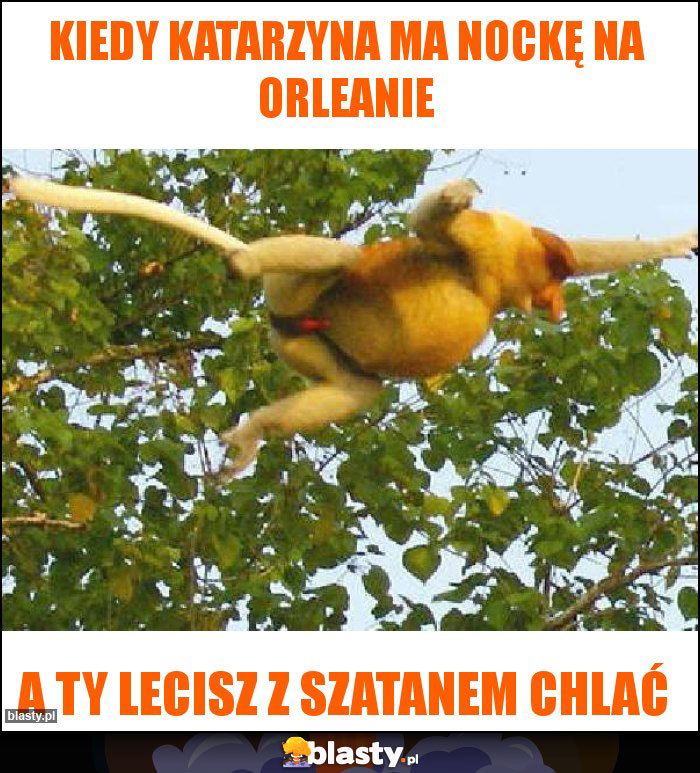 Kiedy Katarzyna ma nockę na Orleanie Kiedy Katarzyna ma nockę na Orleanie