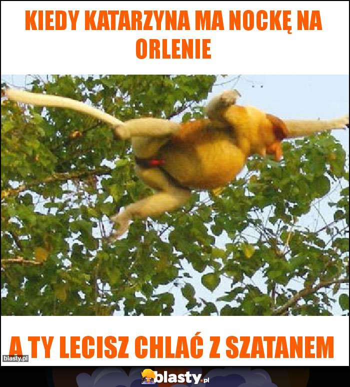 Kiedy Katarzyna ma nockę na orlenie Kiedy Katarzyna ma nockę na orlenie