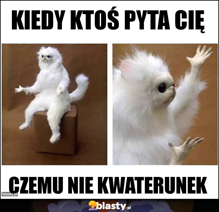 Kiedy ktoś pyta cię Kiedy ktoś pyta cię