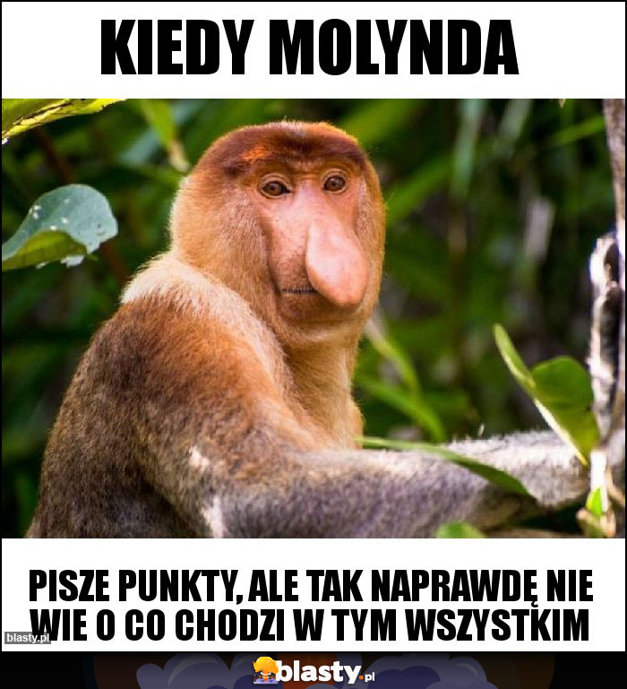 Kiedy molynda Kiedy molynda