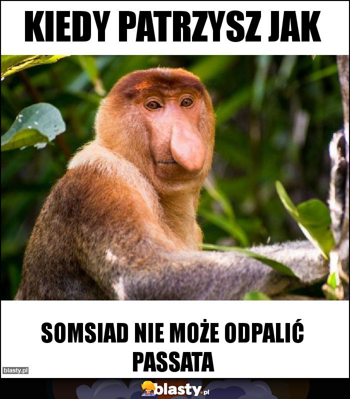 Kiedy patrzysz jak Kiedy patrzysz jak