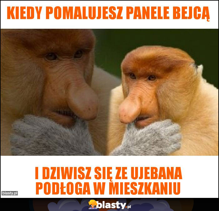 Kiedy pomalujesz Panele Bejcą Kiedy pomalujesz Panele Bejcą