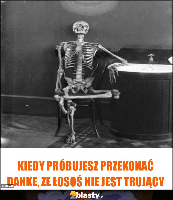 Kiedy próbujesz przekonać Danke, ze łosoś nie jest trujący Kiedy próbujesz przekonać Danke, ze łosoś nie jest trujący