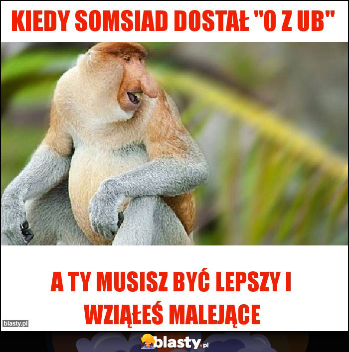 Kiedy somsiad dostał Kiedy somsiad dostał