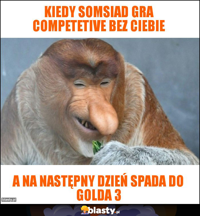Kiedy somsiad gra competetive bez Ciebie Kiedy somsiad gra competetive bez Ciebie