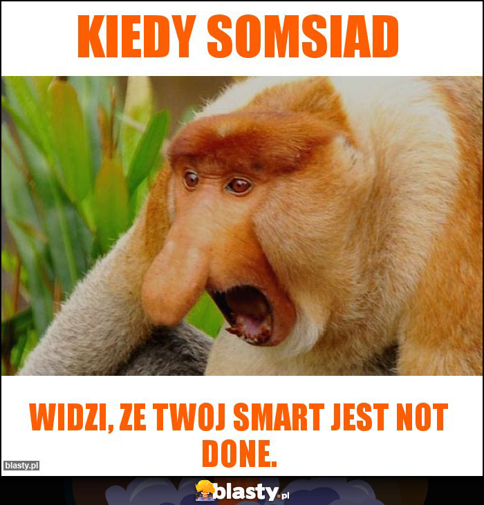 Kiedy somsiad Kiedy somsiad