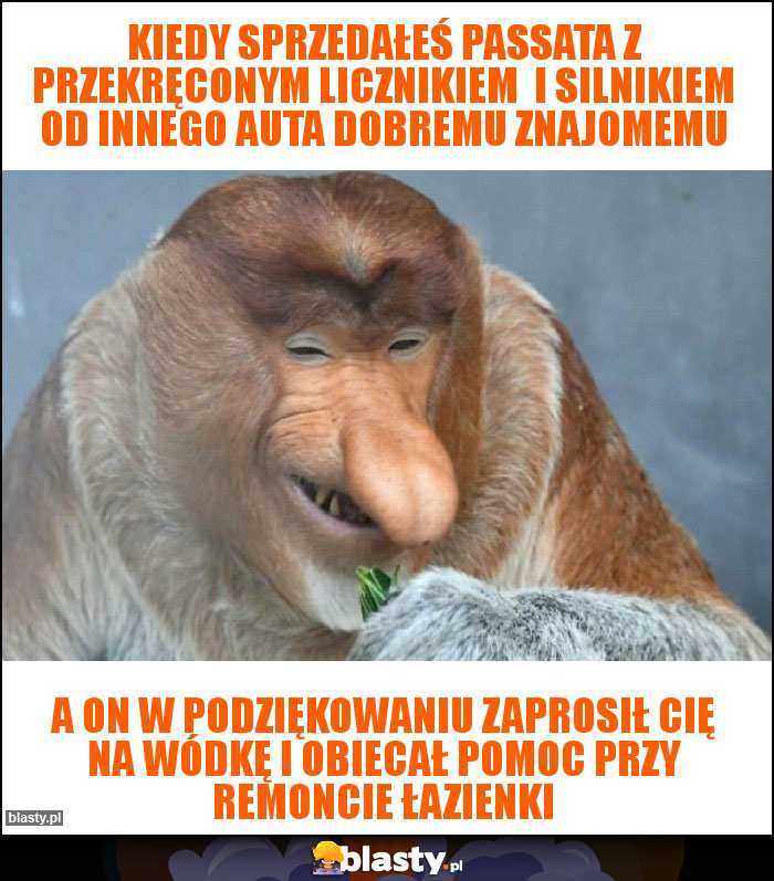 Kiedy sprzedałeś passata z przekręconym licznikiem i silnikiem od innego auta dobremu znajomemu Kiedy sprzedałeś passata z przekręconym licznikiem i silnikiem od innego auta dobremu znajomemu