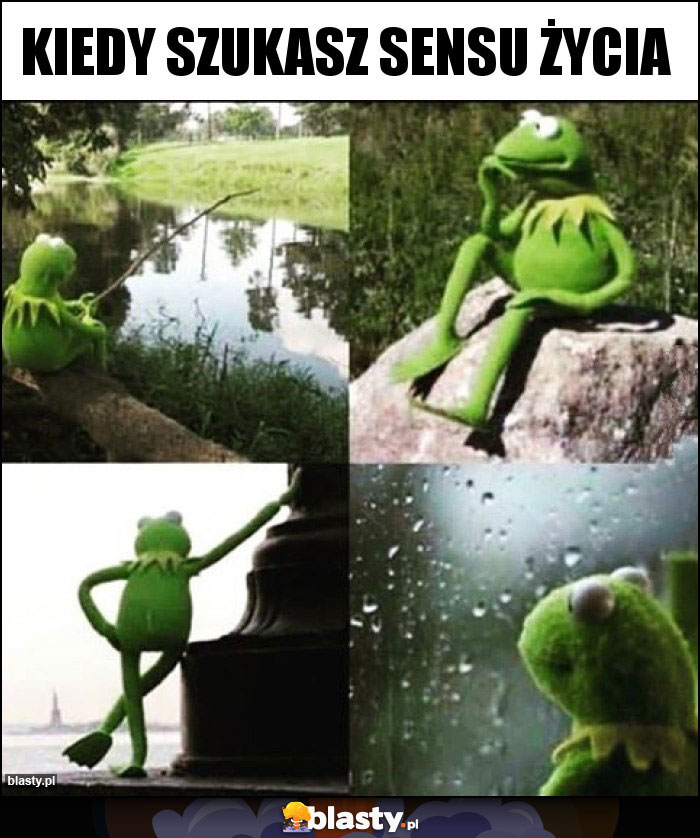Kiedy szukasz sensu życia Kiedy szukasz sensu życia