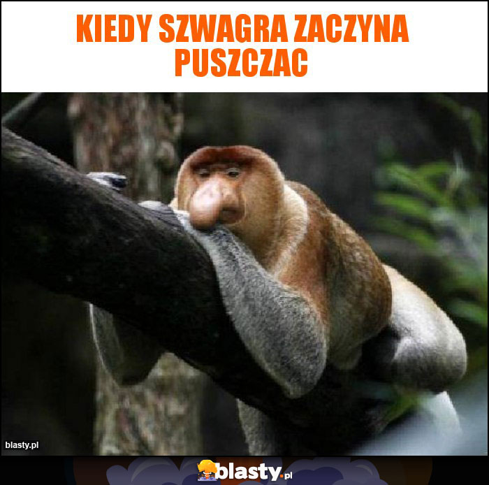 Kiedy Szwagra zaczyna puszczac Kiedy Szwagra zaczyna puszczac