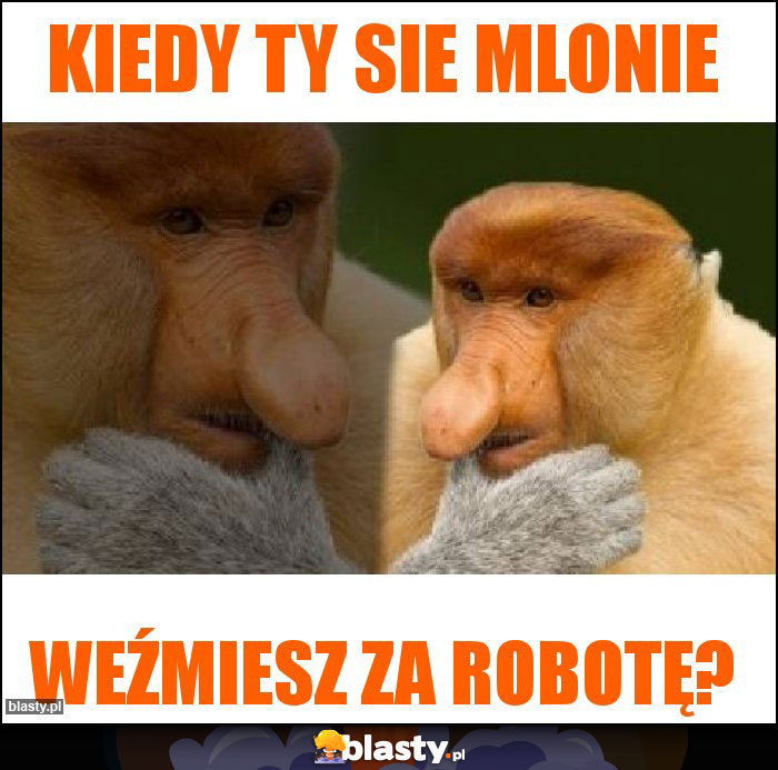 Kiedy ty sie mlonie Kiedy ty sie mlonie