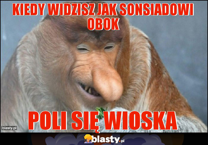 Kiedy widzisz jak sonsiadowi obok Kiedy widzisz jak sonsiadowi obok