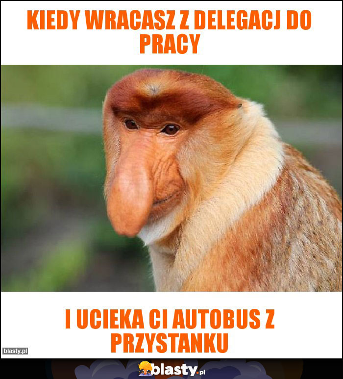 Kiedy wracasz z delegacj do pracy Kiedy wracasz z delegacj do pracy