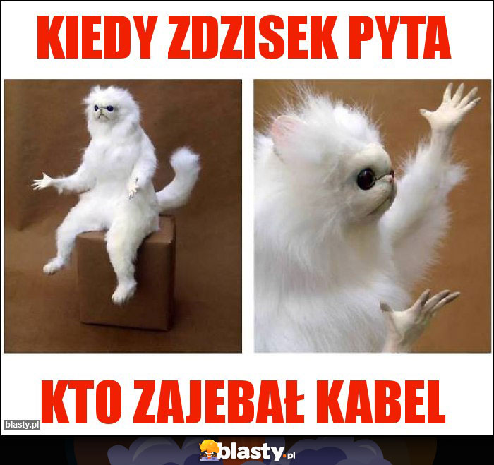 Kiedy zdzisek pyta Kiedy zdzisek pyta