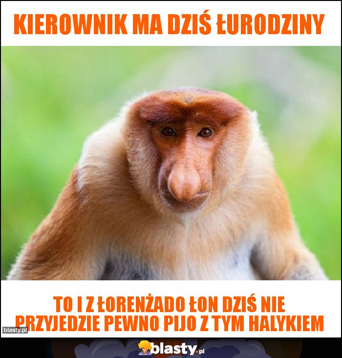 Kierownik ma dziś łurodziny Kierownik ma dziś łurodziny