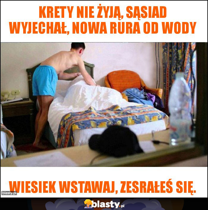 Krety nie żyją, sąsiad wyjechał, nowa rura od wody Krety nie żyją, sąsiad wyjechał, nowa rura od wody