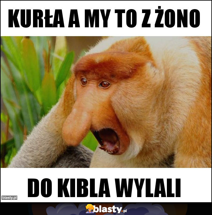 Kurła a my to z żono Kurła a my to z żono