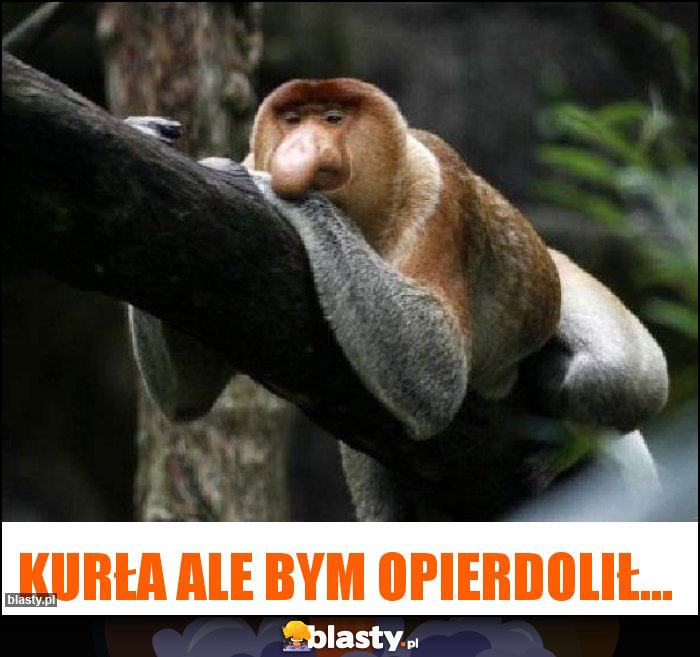 Kurła ale bym opierdolił... Kurła ale bym opierdolił...