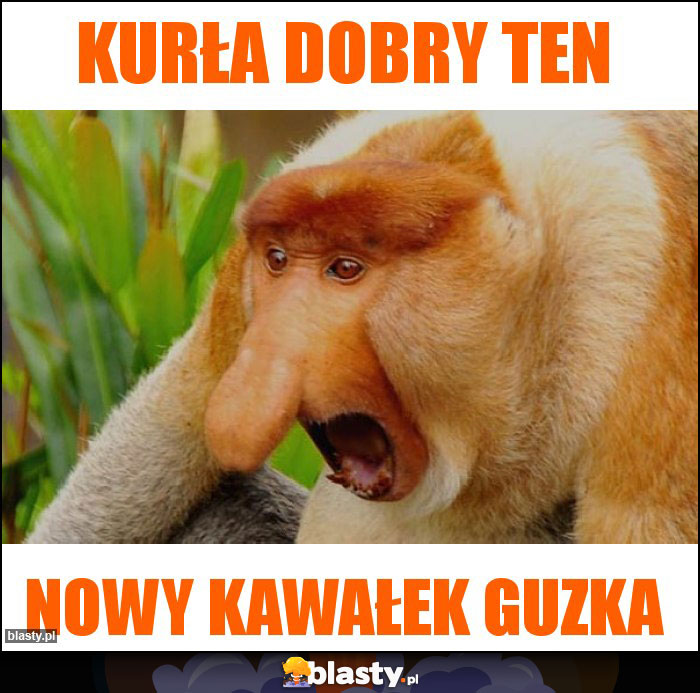 Kurła dobry ten Kurła dobry ten
