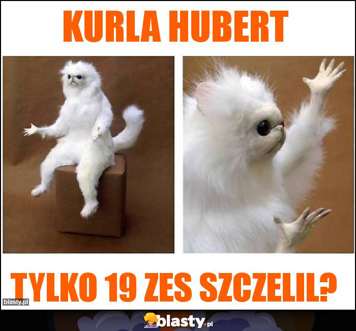 Kurla hubert Kurla hubert