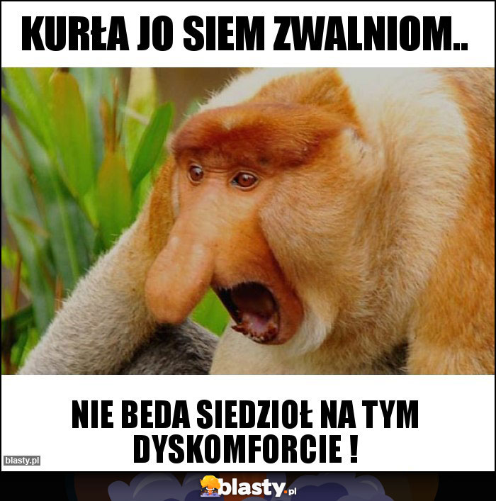 Kurła jo siem zwalniom.. Kurła jo siem zwalniom..