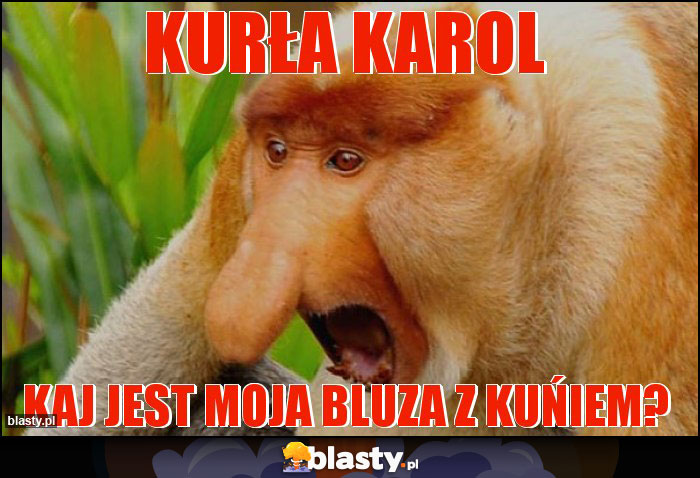 KURŁA KAROL KURŁA KAROL