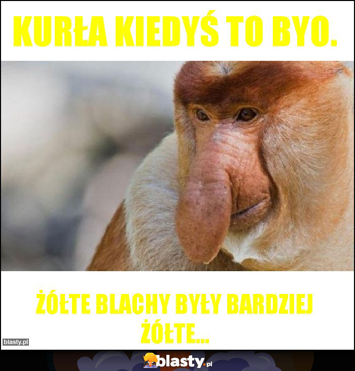 Kurła kiedyś to byo. Kurła kiedyś to byo.