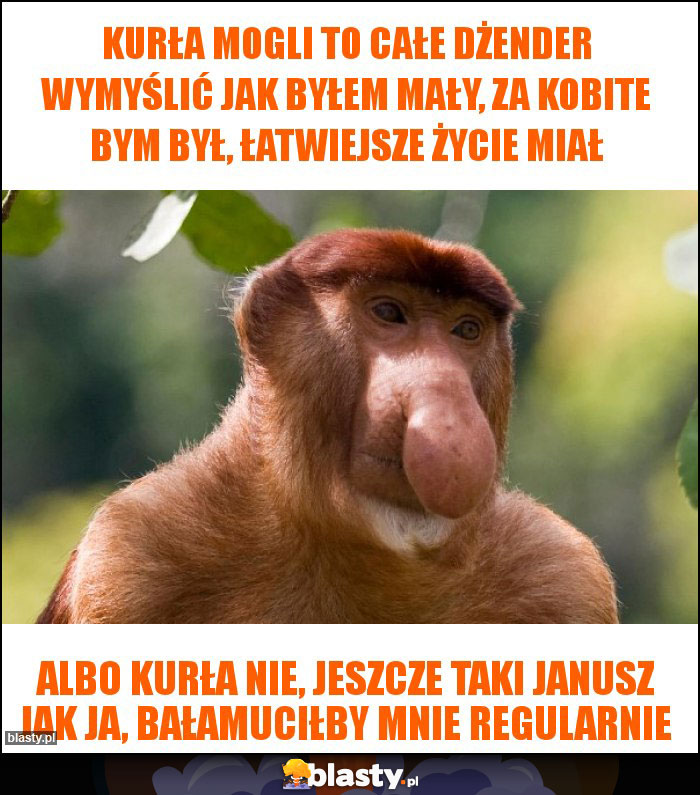 Kurła mogli to całe dżender wymyślić jak byłem mały, za kobite bym był, łatwiejsze życie miał Kurła mogli to całe dżender wymyślić jak byłem mały, za kobite bym był, łatwiejsze życie miał
