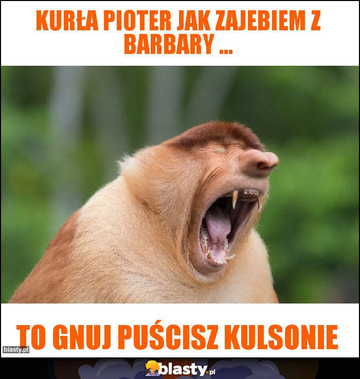 Kurła pioter jak zajebiem z Barbary ... Kurła pioter jak zajebiem z Barbary ...