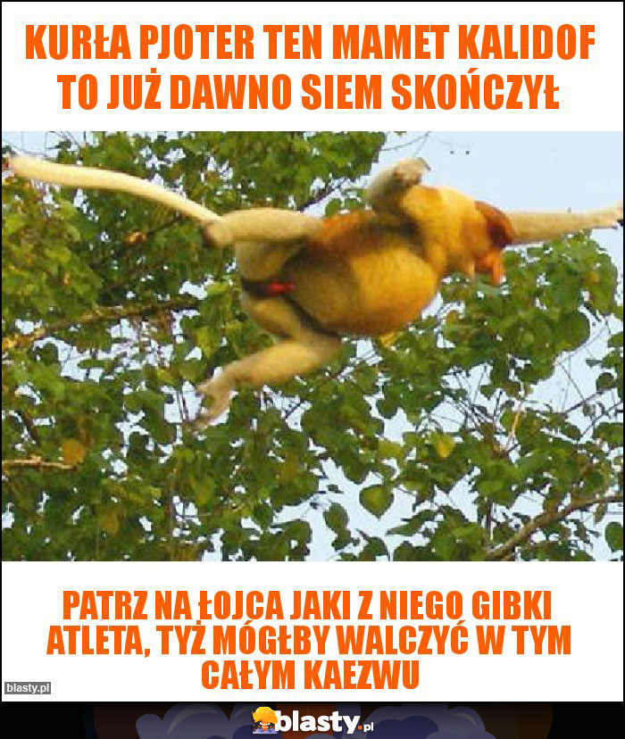 Kurła Pjoter ten mamet kalidof to już dawno siem skończył Kurła Pjoter ten mamet kalidof to już dawno siem skończył