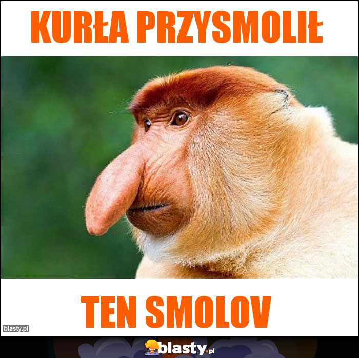 Kurła przysmolił Kurła przysmolił