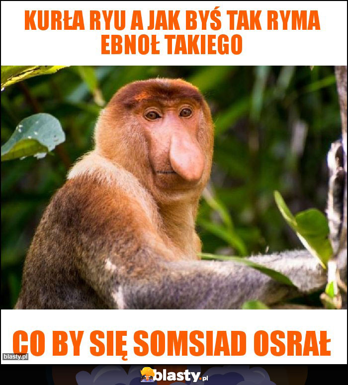 Kurła Ryu a jak byś tak ryma ebnoł takiego Kurła Ryu a jak byś tak ryma ebnoł takiego