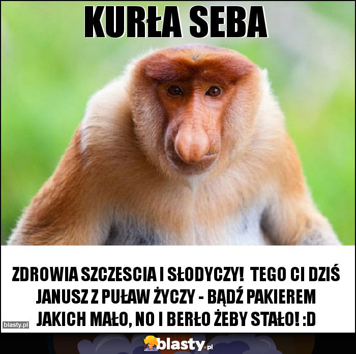 Kurła Seba Kurła Seba