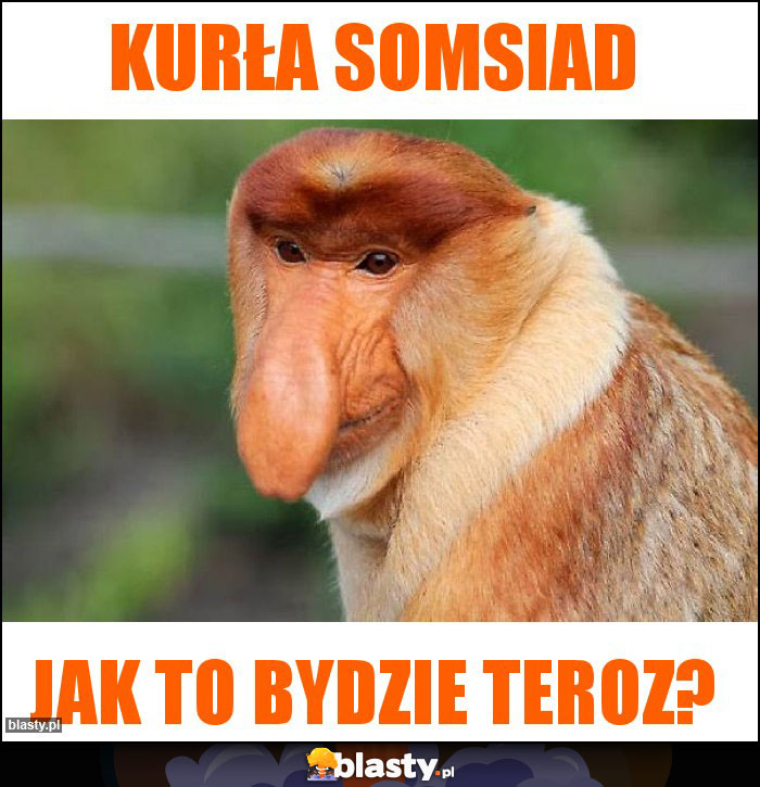 Kurła somsiad