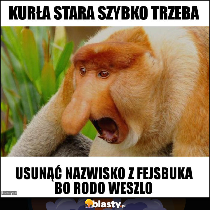 KURŁA STARA SZYBKO TRZEBA KURŁA STARA SZYBKO TRZEBA
