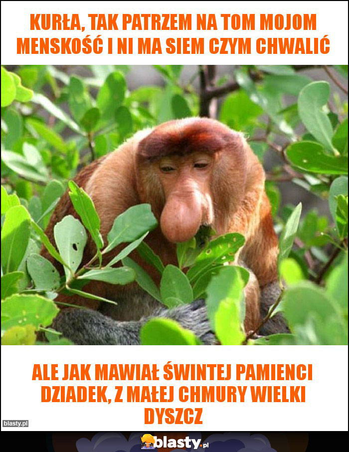 Kurła, tak patrzem na tom mojom menskość i ni ma siem czym chwalić Kurła, tak patrzem na tom mojom menskość i ni ma siem czym chwalić