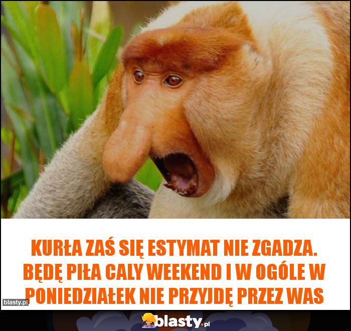 KURŁA ZAŚ SIĘ ESTYMAT NIE ZGADZA. BĘDĘ PIŁA CALY WEEKEND I W OGÓLE W PONIEDZIAŁEK NIE PRZYJDĘ PRZEZ WAS KURŁA ZAŚ SIĘ ESTYMAT NIE ZGADZA. BĘDĘ PIŁA CALY WEEKEND I W OGÓLE W PONIEDZIAŁEK NIE PRZYJDĘ PRZEZ WAS