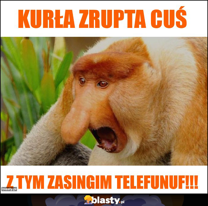 KURŁA ZRUPTA CUŚ KURŁA ZRUPTA CUŚ