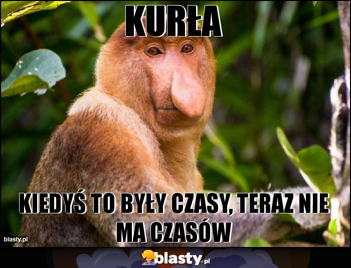 Kurła
