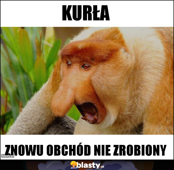 Kurła