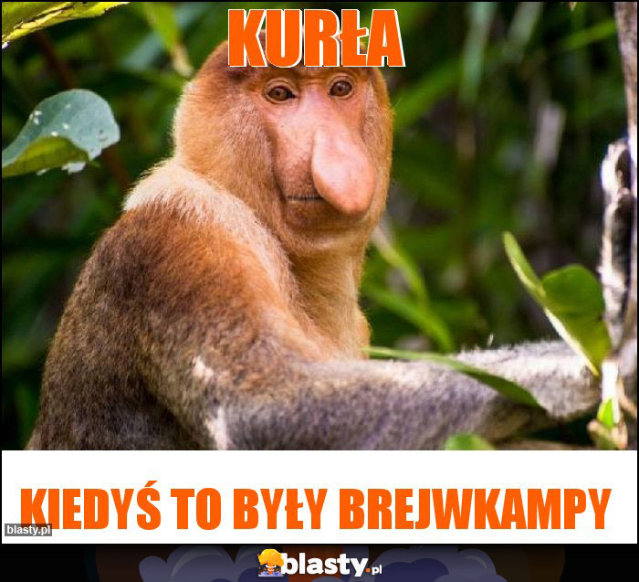 Kurła