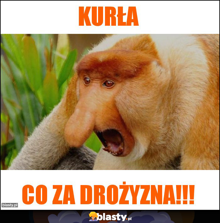Kurła