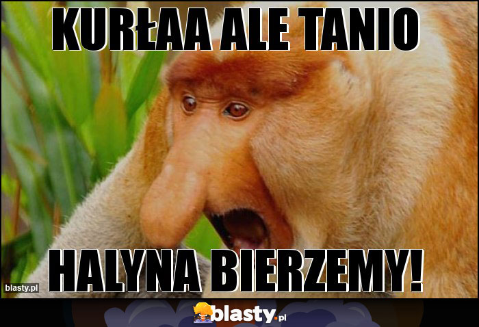 Kurłaa ale tanio Kurłaa ale tanio