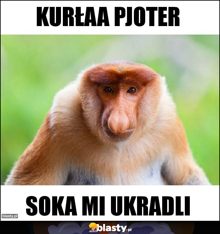 KURŁAA PJOTER KURŁAA PJOTER