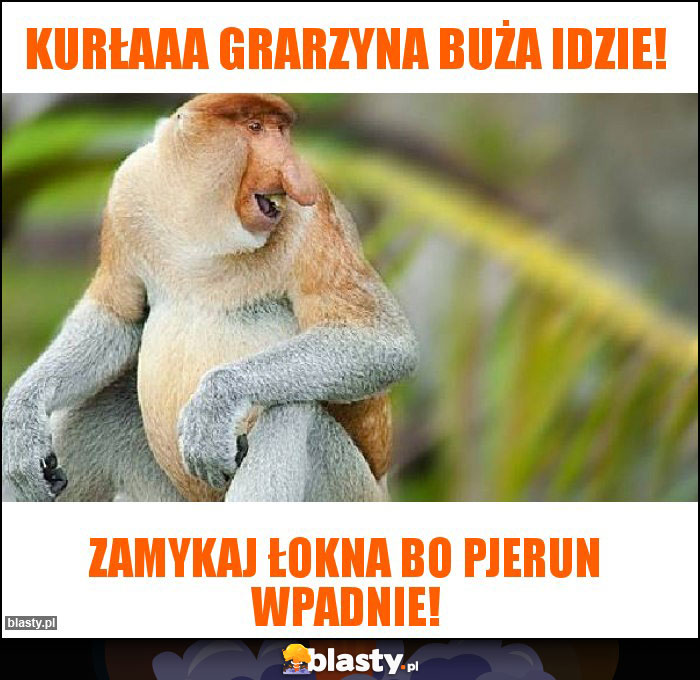 Kurłaaa Grarzyna buża idzie! Kurłaaa Grarzyna buża idzie!