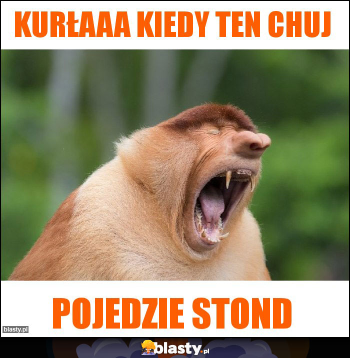 KURŁAAA KIEDY ten CHUJ KURŁAAA KIEDY ten CHUJ