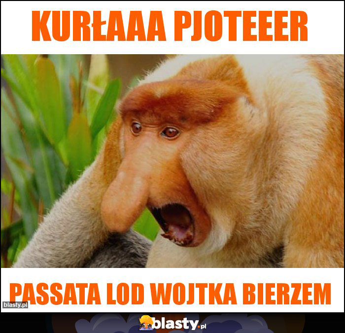 Kurłaaa Pjoteeer Kurłaaa Pjoteeer