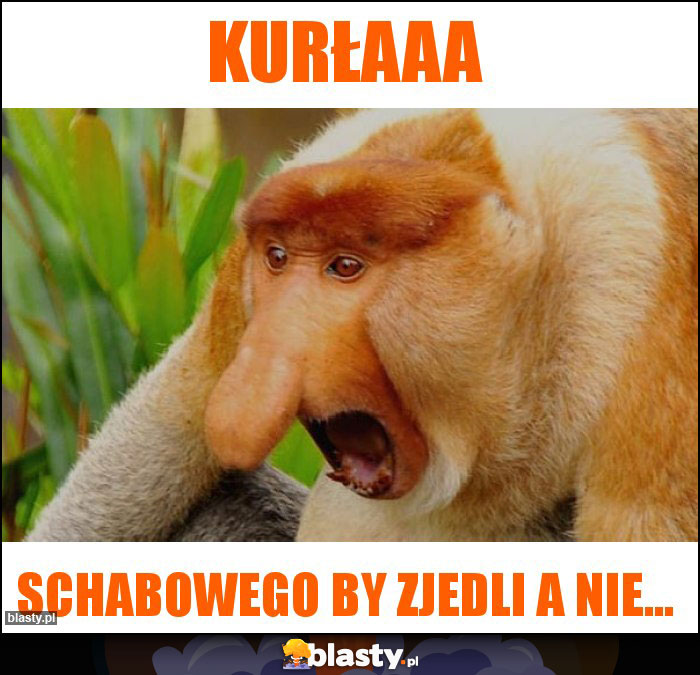 Kurłaaa